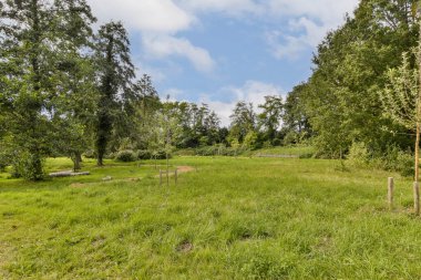 Açık mavi gökyüzü altında çeşitli ağaçların ve geniş çimenli alanların yer aldığı sakin yeşil bir manzara, doğa fotoğrafçılığı ve rahatlama için ideal..