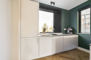 Gösterişli dolaplar, modern aletler ve bitkilerin yeşillik dokunuşuyla mekanı aydınlatan doğal ışığın yer aldığı şık ve çağdaş bir mutfak..