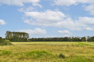 Güzel bir manzara geniş yeşil alanlar ve bulutlarla dağılmış bir gökyüzü, doğal güzellikleri ve sükuneti gözler önüne seriyor..