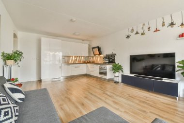 Güzel tasarlanmış bir mutfak alanı, rahat bir oturma odası ve yerleri güzelleştiren dekoratif elementlerle donatılmış modern bir oturma odası..