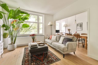 Şık, modern bir oturma odası bol doğal ışık, bir kanepe, dekoratif bitkiler, sıcak ve samimi bir atmosfer..