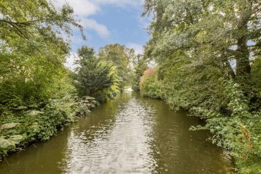 Sakin bir su yolu, yoğun yeşilliklerin arasında dolaşır, canlı yeşillikleri yansıtır ve doğa aşıkları ve fotoğrafçılar için mükemmel huzurlu bir manzara yaratır..