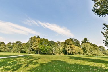 Bereketli yeşillik, yükselen ağaçlar ve ince bulutlu parlak mavi bir gökyüzü içeren sakin bir park manzarası, barışçıl bir açık hava ortamı yaratır..