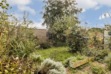 Canlı, yemyeşil bir bahçe, çiçek açan çiçekler ve sakin bir açık hava ortamı yaratan iyi korunmuş bitkiler..