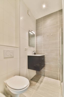 Yanı başında beyaz bir tuvalet ve duş kabini olan bir banyo duvarda bir ayna var.