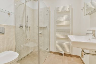 Duş dolabı olan modern şık beyaz banyo.