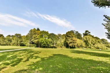 Açık mavi gökyüzü altındaki yemyeşil çimlerin ve ağaçların panoramik manzarasını gösteren canlı bir park manzarası, açık hava aktiviteleri ve rahatlama için idealdir..