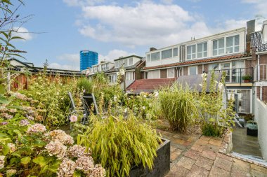 Çeşit çeşit bitki ve çiçeklerle dolu canlı bir şehir bahçesi, parlak mavi gökyüzünün altındaki modern binalarla tezat oluşturuyor..