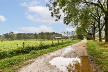 Ağaçlarla ve tarlalarla kaplı sakin bir kırsal yol, gökyüzünü ve yakınlardaki bitkileri yansıtan bir su birikintisi sergiliyor, doğada barışçıl yürüyüşlere davet ediyor..