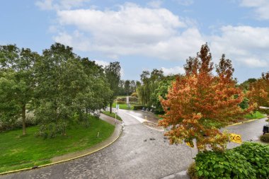 Canlı ağaçlar ve berrak gökyüzü tarafından kucaklanan dolambaçlı bir yol manzarası güzelliğin ve huzurun ortasındaki keşfi davet ediyor..
