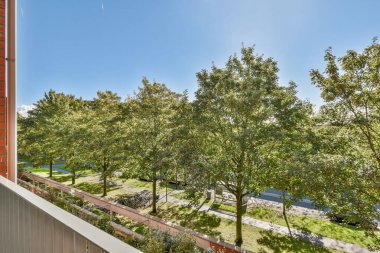 Açık mavi gökyüzünün altında bir şehir caddesini kaplayan yemyeşil ağaçları gösteren canlı bir balkon manzarası, kentsel doğayı resmediyor..
