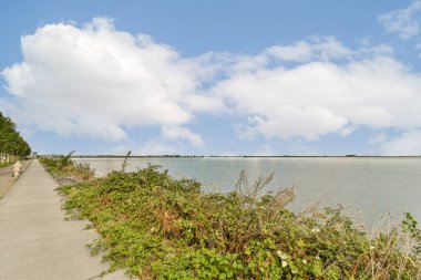 Durgun bir su gövdesinin yanında sakin bir yürüyüş yolu, canlı yeşil bitkiler ve pofuduk bulutlardan oluşan bir zemin..