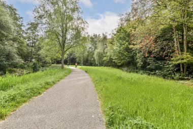 Yeşillik ve ağaçlarla çevrili sakin bir patika. Yürümek ya da koşmak için ideal, doğa aşıklarını keşfetmeye davet eden..