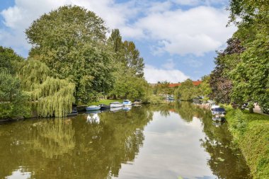 Bereketli yeşilliklerle çevrili sakin bir nehrin ve canlı ağaçları yansıtan renkli teknelerin manzarası..