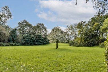 Parlak mavi gökyüzünün altında ağaçlarla dolu canlı yeşil bir parkın manzarası, doğanın güzelliğini ve sükunetini bir açık hava ortamında sergiliyor..