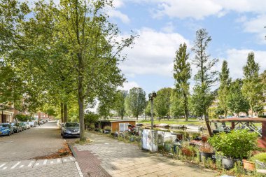 Canlı bir şehir parkı sahnesi. Uzun yeşil ağaçlar, düzgün asfalt kaldırımlar ve arka planda rahatlama ve gezinti için ideal binalar..