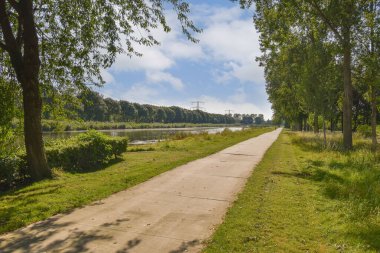 Parlak, parçalı bulutlu bir gökyüzünün altındaki nehre doğru uzanan ağaçlarla dolu sakin bir patika. Yürümek ve doğanın tadını çıkarmak için ideal güzellik..