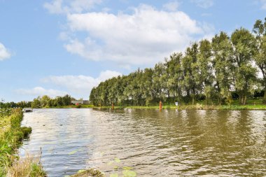 Sakin bir su kütlesi ve kabarık bulutlarla dolu mavi bir gökyüzünün altında uzanan ağaçların yer aldığı pitoresk bir nehir kenarı manzarası..