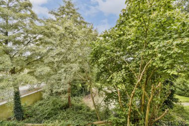 Parlak, mavi bir gökyüzü altında gür ağaçlar ve yemyeşil yapraklar sergilenen canlı bir manzara güzelliği ve huzuru ön plana çıkarıyor..