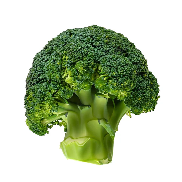 Przedstawiamy Nasz Porywający Obraz Kolby Żywymi Świeżymi Brokułami Pięknie Uchwyconymi — Zdjęcie stockowe