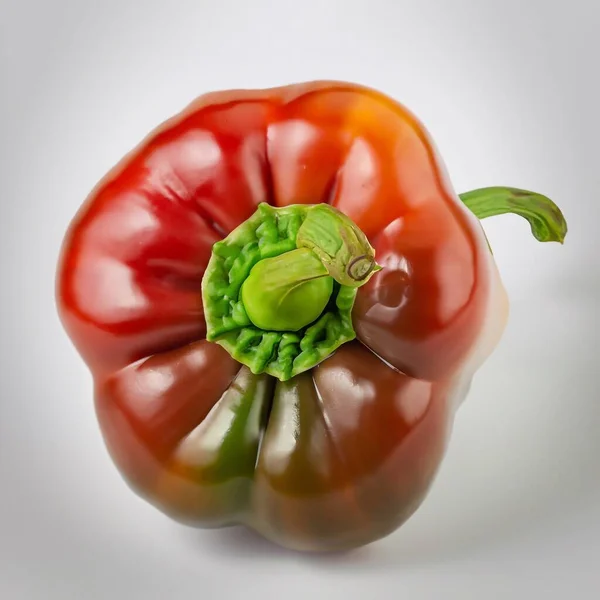 Red Pepper Isolated White — Stock Photo, Image