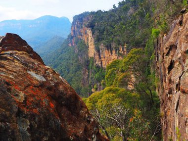 Engebeli turuncu renkli kayalar, canlı yeşil ormanlar ve dramatik yamaçlar ile çarpıcı bir uçurum kenarı sahnesi, Mavi Dağların doğal güzelliklerini yakalıyor.