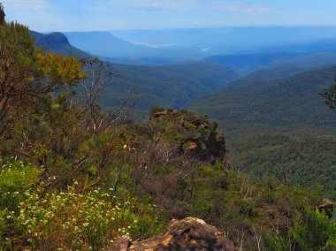 Mavi Dağlar 'ın, engebeli bir uçurum, canlı kır çiçekleri ve berrak mavi gökyüzünün altında yuvarlanan yeşil vadilerin resimli bir görüntüsü.