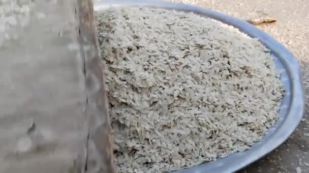 Zploštělé Čištění Rýže Tradičním Dřevěným Vybavením — Stock video