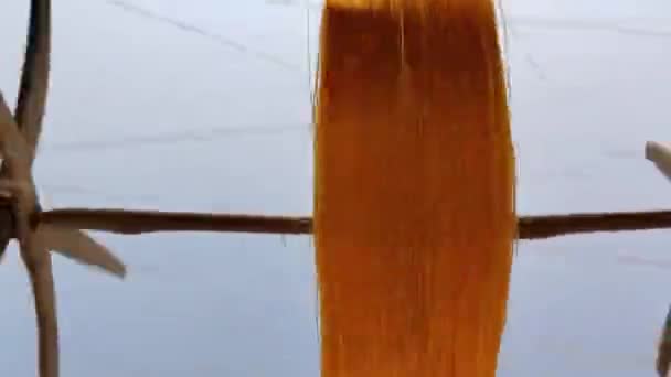 ハンド織機機のためのヤーン スプールにウールを回す古い回転車輪かチャカハ — ストック動画