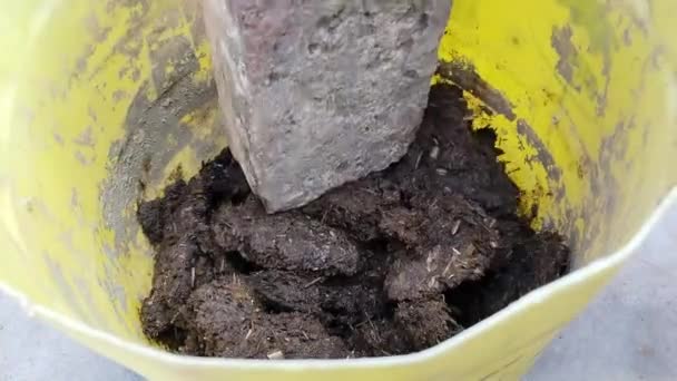 Dokonywanie Kompost Pokonując Mokre Krowie Łajno Ciasto Puli — Wideo stockowe