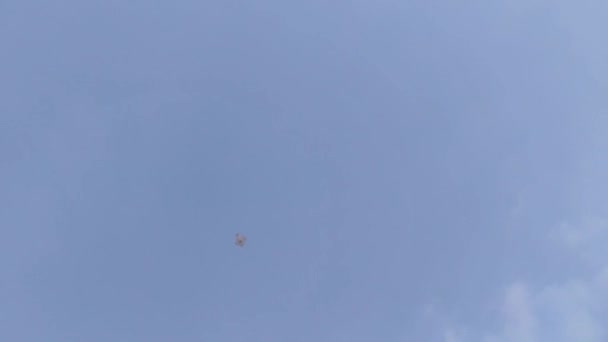 마카라 산크란티 하늘을 — 비디오