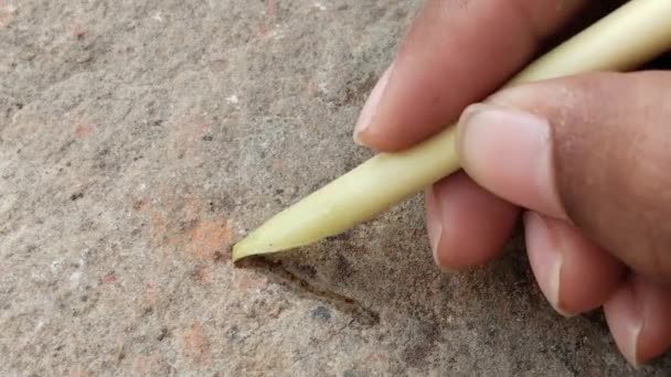 Pluma Escritura Piedra Con Tinta Agua Pluma Madera Árabe Velocidad — Vídeo de stock
