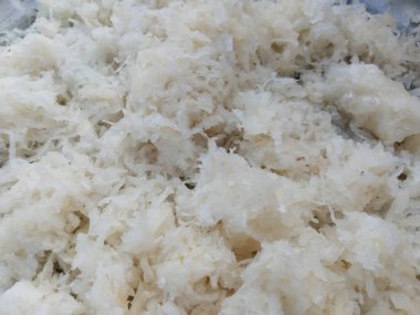 Yüzey zemininde rendelenmiş yabanturpu (detaylı yakın çekim))