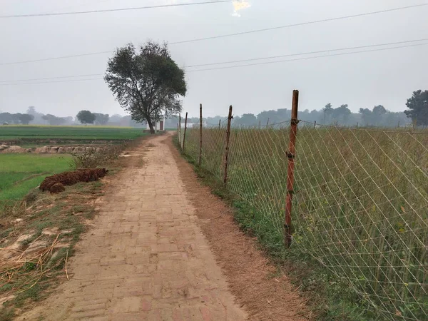 Indian agriculture land with rope fencing near road