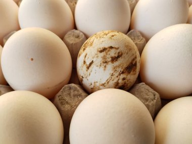 Sokak pazarında tepside tek yumurta, ördek yumurtası