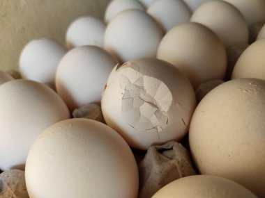 Kağıt tepside kırılmış yumurta, pakette kırılmış yumurta. Yüksek kaliteli fotoğraf Seçici odak.