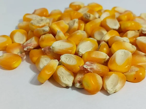 收集美味的玉米种子 在白色背景下隔离 — 图库照片
