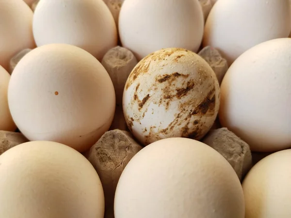通り市場の皿の単一の汚れた卵 アヒルの卵 — ストック写真