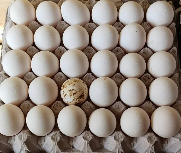 通り市場の皿の単一の汚れた卵 アヒルの卵 — ストック写真