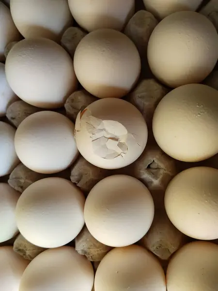 ペーパートレイに卵を割った パッケージに壊れた卵 高品質の写真選択フォーカス — ストック写真
