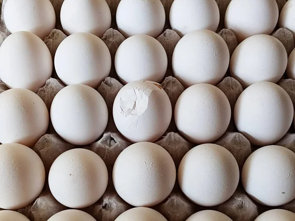 ペーパートレイに卵を割った パッケージに壊れた卵 ハイエクイティ — ストック写真