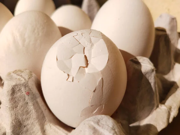 ペーパートレイに卵を割った パッケージに壊れた卵 高品質の写真選択フォーカス — ストック写真