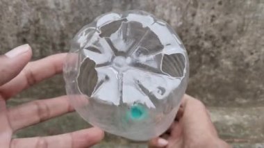 Yeşil ev efektli plastik şişede yetişen bitki.