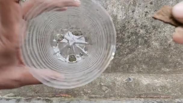 Lubang Dalam Botol Plastik Untuk Perkebunan Gunakan Kembali Sistem Lubang — Stok Video