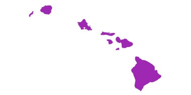 Hawaii idari haritası. Hawaii haritası, boş harita, boş Hawaii haritası. 