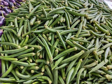 Hindistan 'ın kırsal kesimlerindeki bayanların parmağı. Bamya sebzesi. Yeşil sebze. Bir sürü kadın parmağı. Leydi 'nin parmakları..