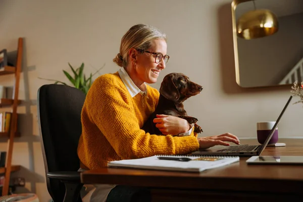 在家里工作的白人女性自由长矛工作者用笔记本电脑把宠物狗抱在膝上 高质量的照片 — 图库照片