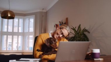 Evde dizüstü bilgisayarı olan, kucağında evcil bir köpek olan beyaz bir kadın. Yüksek kalite 4k görüntü