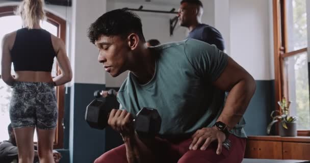 Atleta Multiétnico Executa Cachos Halteres Estúdio Fitness Imagens Alta Qualidade — Vídeo de Stock