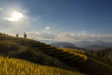 Beautiful landscape view of rice terraces in chiang mai , Thailand.